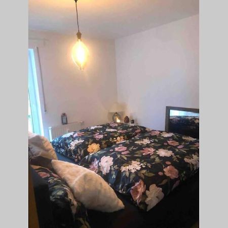 Sonnenoase Gufi Apartment Гунделфинген Екстериор снимка