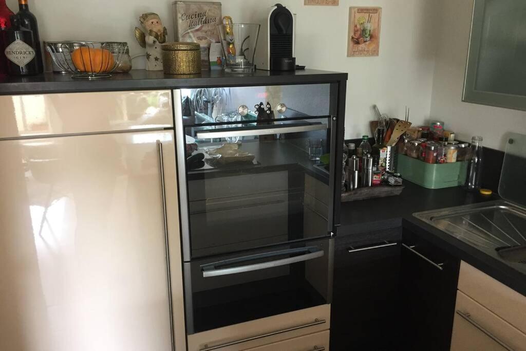 Sonnenoase Gufi Apartment Гунделфинген Екстериор снимка